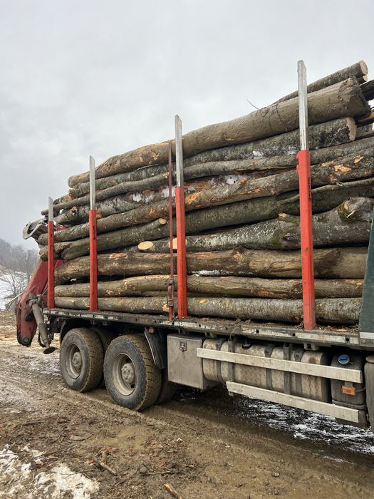 Lemn foc fag si divere tari