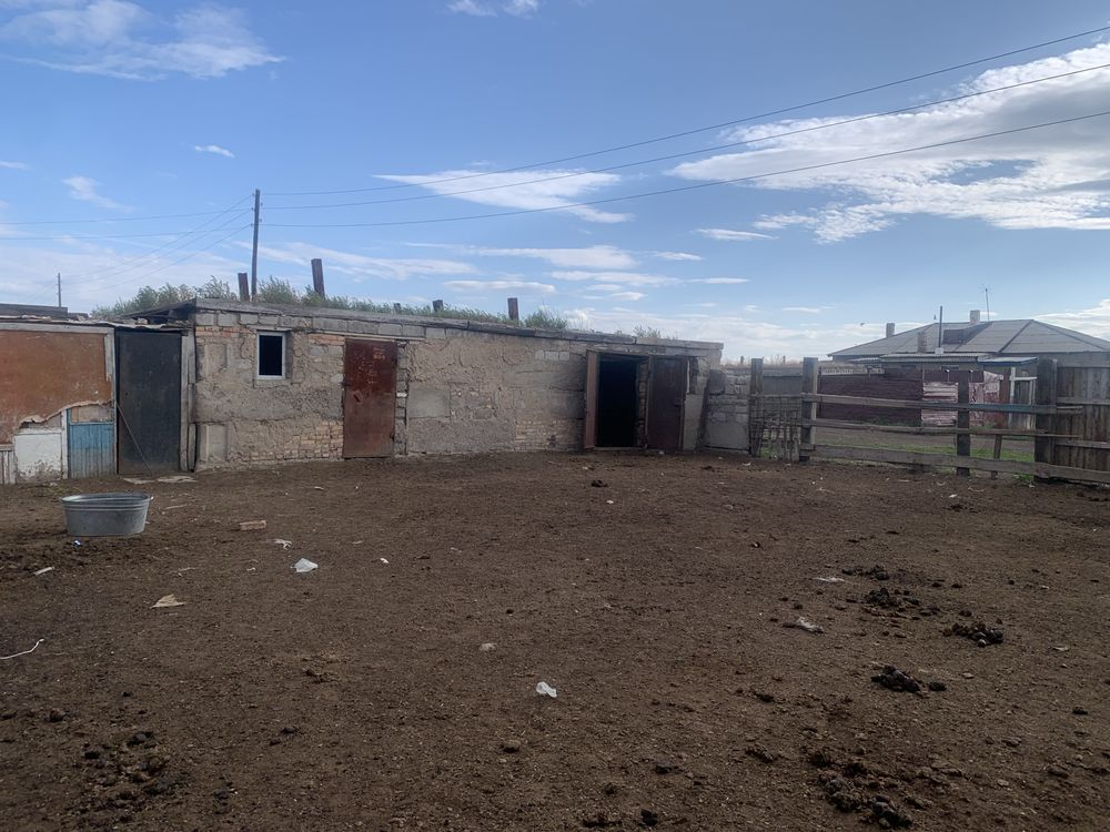 Дом жилой корасы загон бар  Сортировка камзе ауылы
