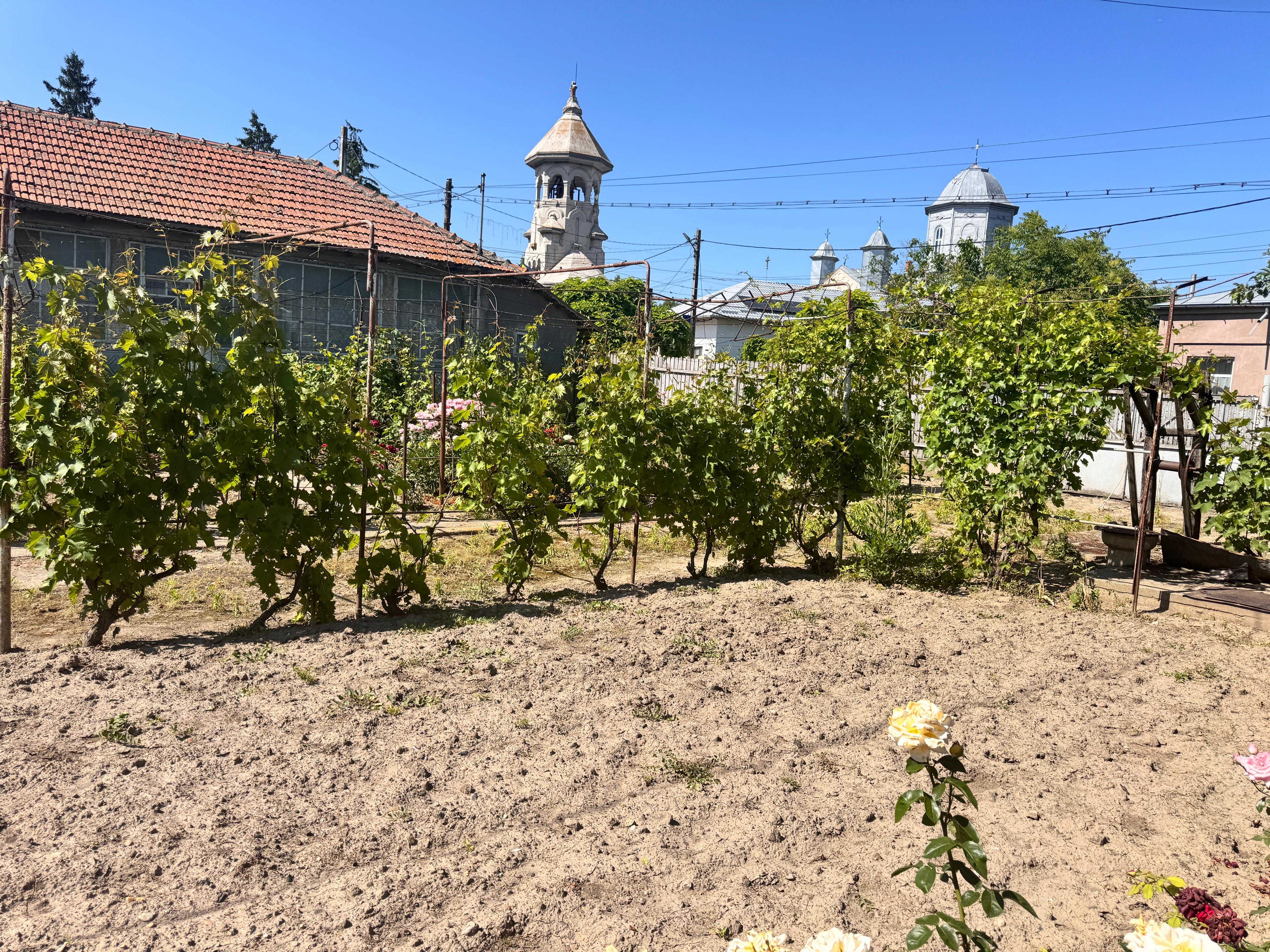 casa batranaeasca + teren Chirnogi, jud Calarasi