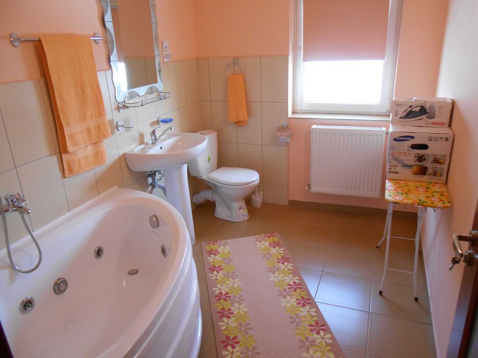 Inchiriez garsoniera 900 lei in vila Craiova