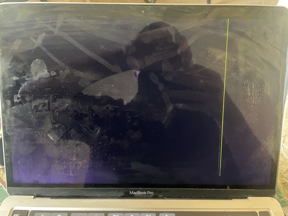 vand macbook pro m1 cu display defect