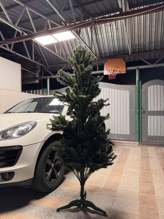 Продам новогоднюю елку
