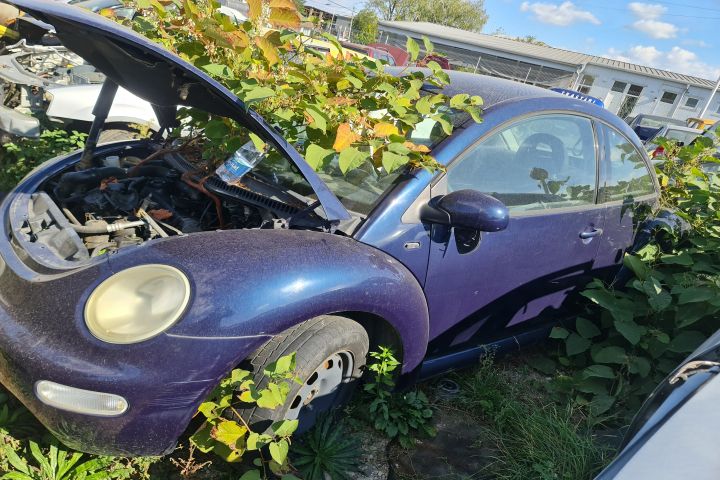 Usa stanga Volkswagen VW Beetle a 2-a generatie