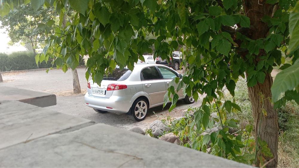 Hejbek laseti sotladi