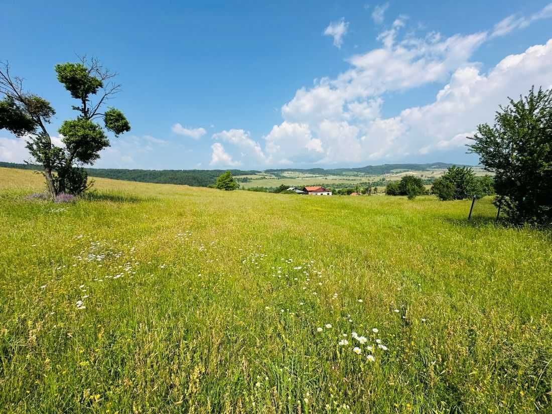 Земеделска земя в село Горно Крайще, Елешница