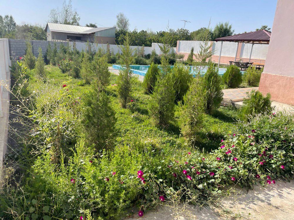 Samarqand dacha arzon narxda