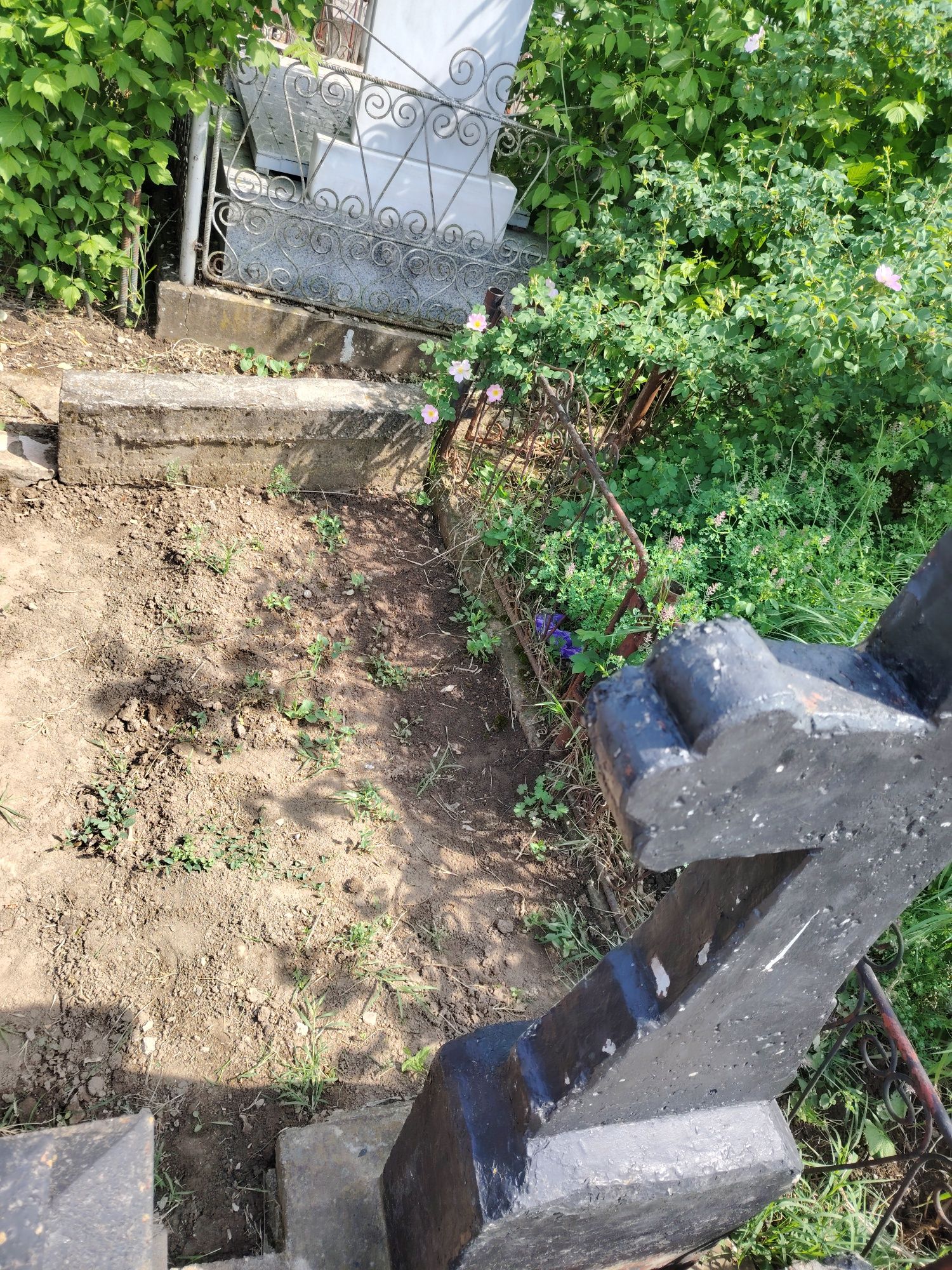Loc de veci cimitirul central.