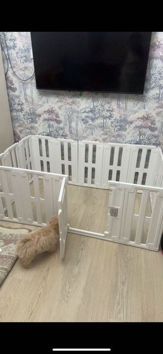 Вольер домашний для собак