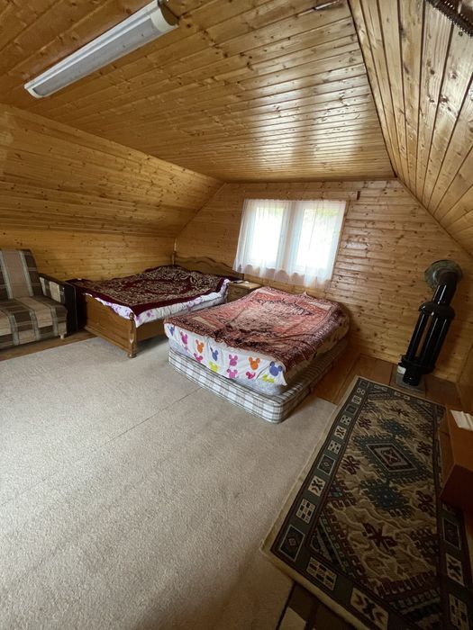 Cabana. Statiunea Muntele Baisorii