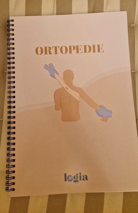 Planse Logia si flashcarduri