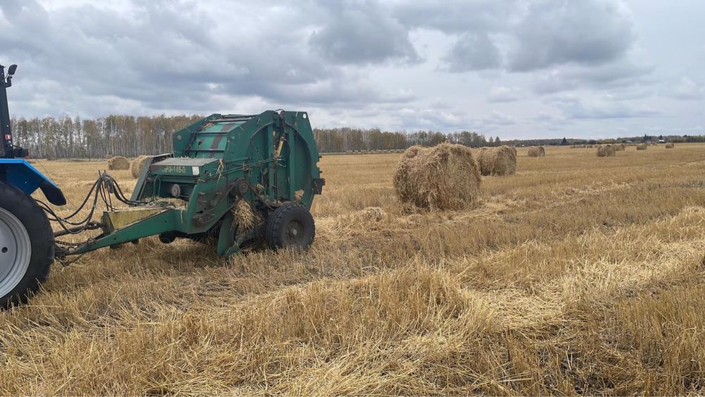 Продам пшеничную солому