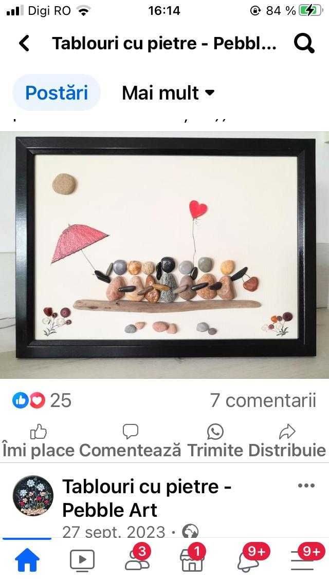 Tablouri cu pietre-pebble art