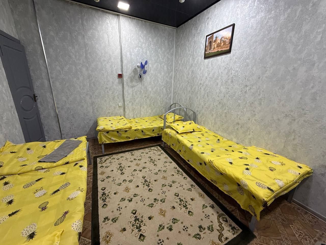 mehmonxona bez zaks, kunlik mehmonhona, arenda kvartira, hostel