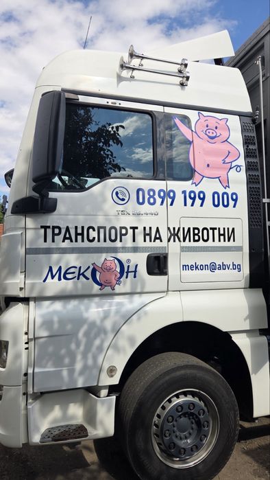 Транспорт и Изкупуване на животни