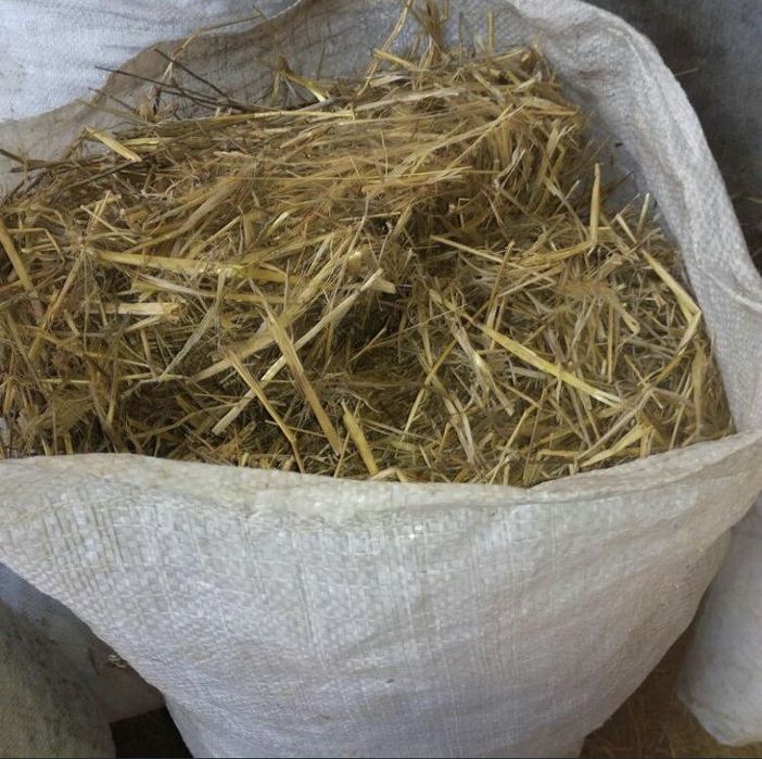 Салома в мешкахххх