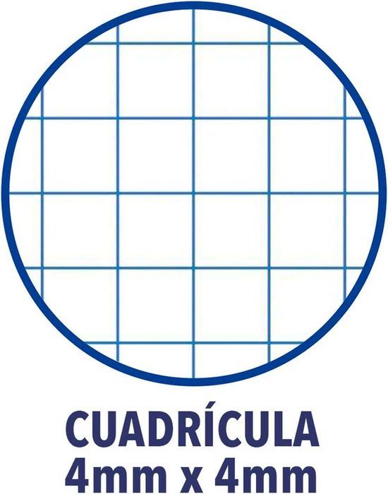 Oxford 5 тетрадки А4  с решетка 4x4мм, спирала, картонена корица