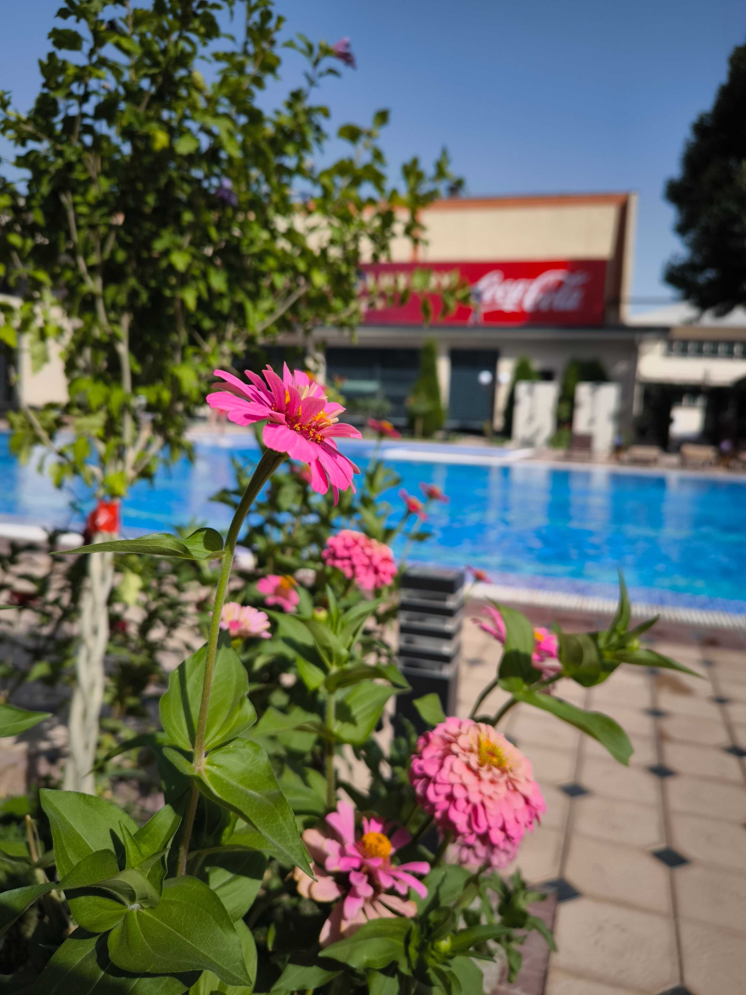 Бассейн в "Hotel Ziyorat Luxury"