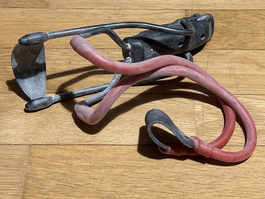 Prastie profesionala