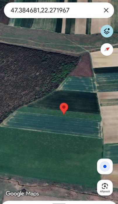 Teren de vânzare Buduslău 1.14h