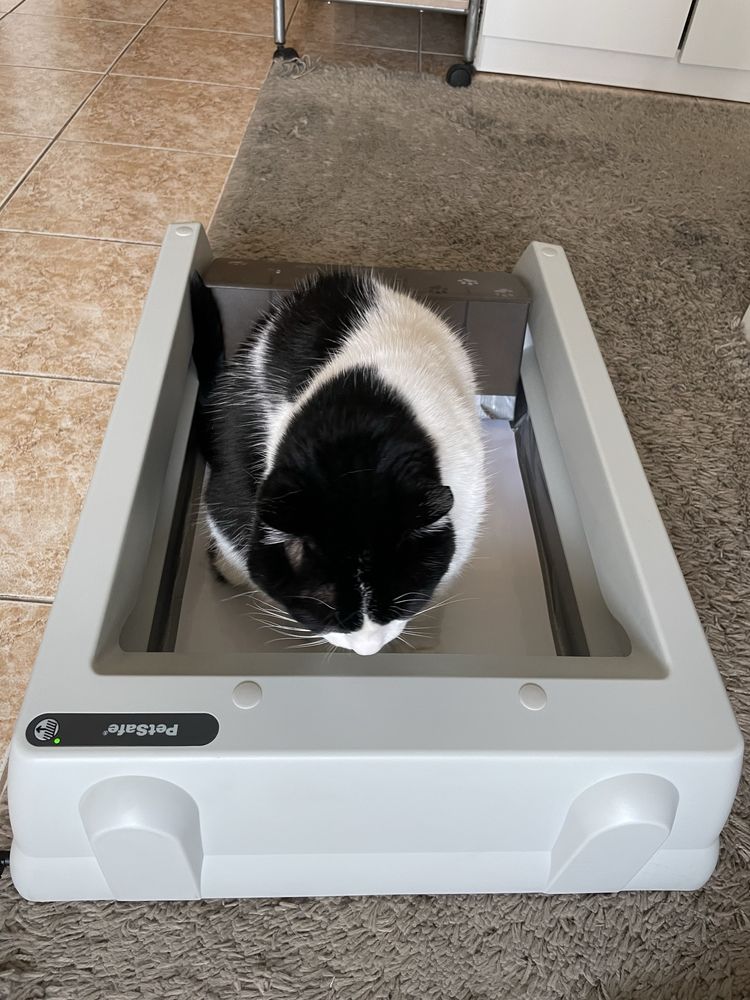 Автоматична котешка тоалетна