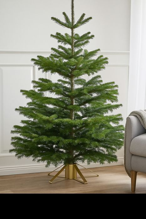 Suport de brad 45-100 mm