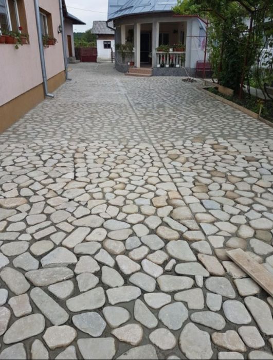 Vand piatra si plante ornamentale