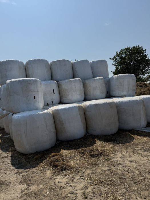 Baloti Infoliati de Siloz