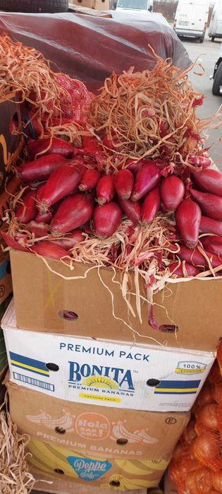 Ceapa galbena si ceapa rosie