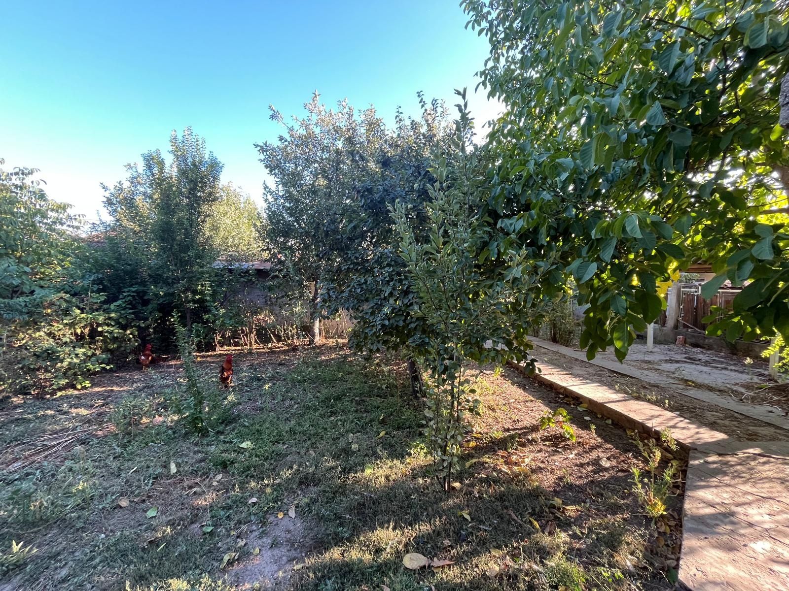 Vand teren si casă