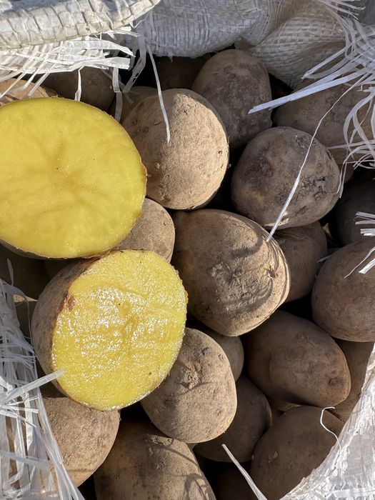 Картошка 90 тг местная вкусная желтая