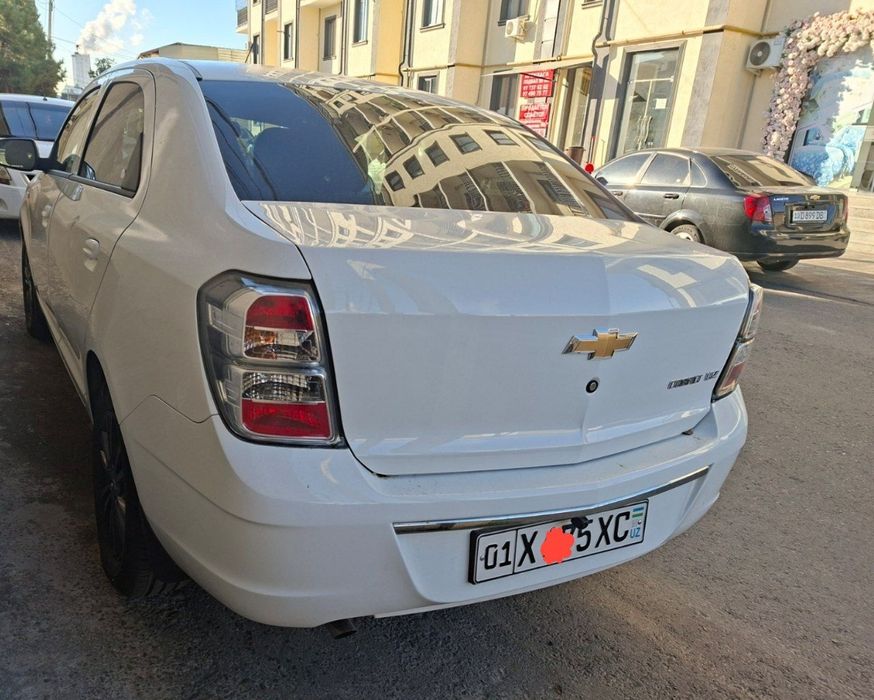 Cobalt Kobalt Midnight 2025