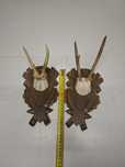 Trofeu caprior vechi, ambele 150ron