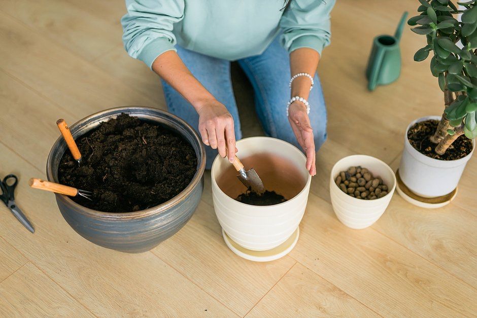 Профессиональная услуга фитомастера-флориста