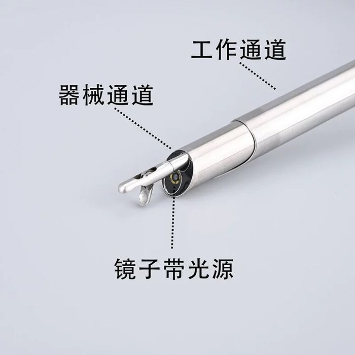 Тренажёры для обучения позвоночной эндоскопии