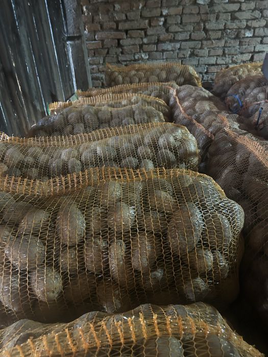 Vand cartofi consum, Agria