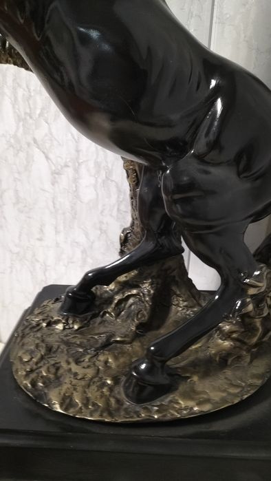 Кора байр холати идеал