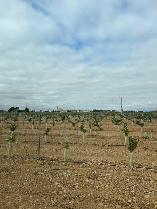 Stalpi galvanizati aprope noi