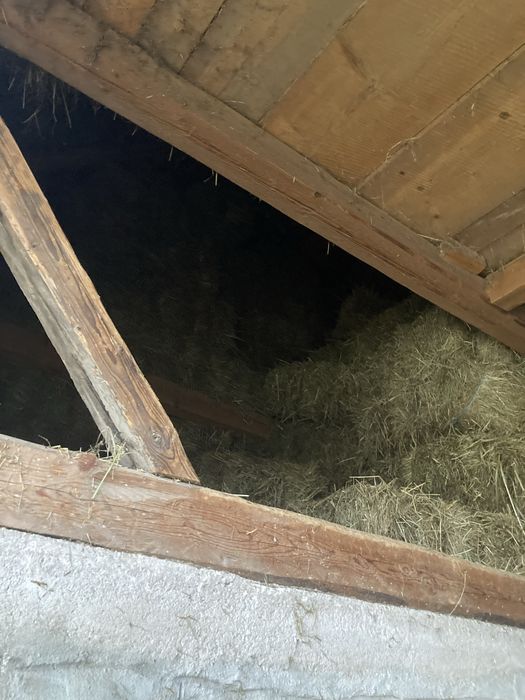 Baloti de fân si de otavā