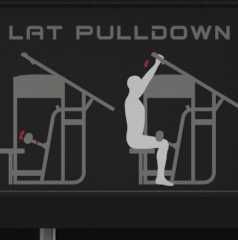 Фитнес Уред за  Гръб – Lat Pulldown IF9302