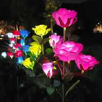 Flori de gradina luminate