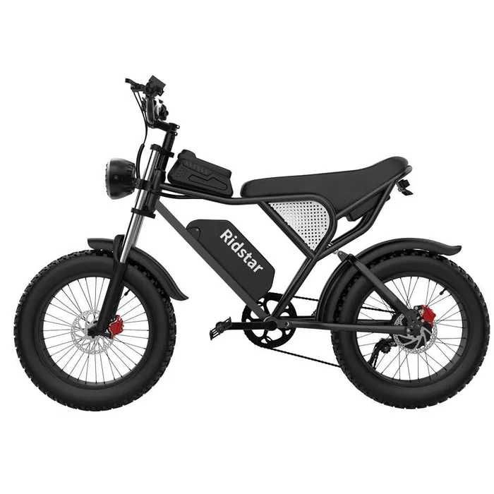 Електрически велосипед Ridstar Q20 mini , 1000W, 15.AH
