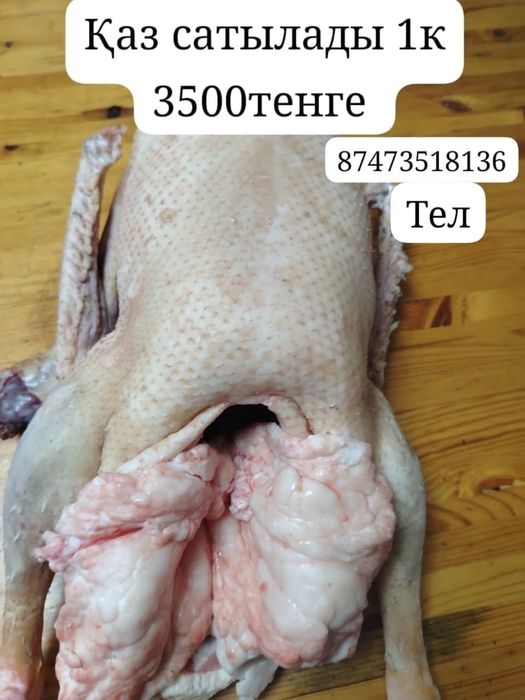 Продам гусей на любой праздник можете взять