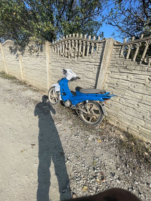 Scuter longhin schimb mai multe detalii în privat