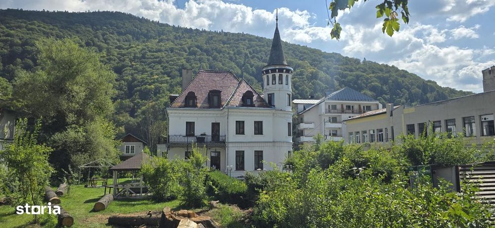 De vanzare - Teren intravilan 3614mp situat pe Bd. Carol I 25