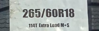 Зимний болоны с шипом