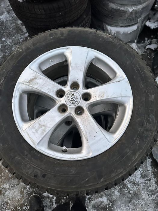 Ассалаумағалайкум Сиенна ЛЕ