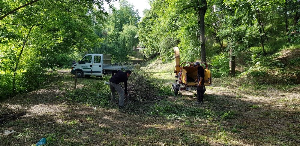 Taieri doborari si toaletari arbori copaci pomi orice dificultate