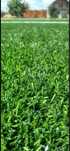 Vand gazon sintetic fir de 2 mm