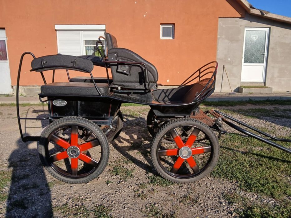 Vand trasura maraton