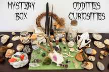 Mystery Box curiozitati naturale pene cristale fosile colti insecte